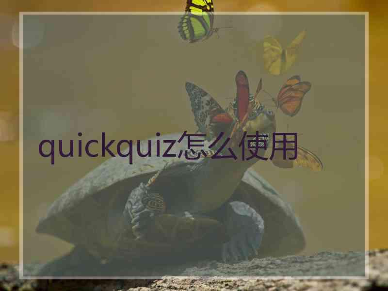 quickquiz怎么使用