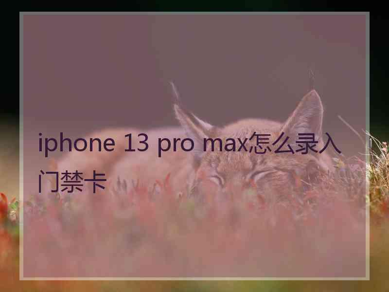 iphone 13 pro max怎么录入门禁卡