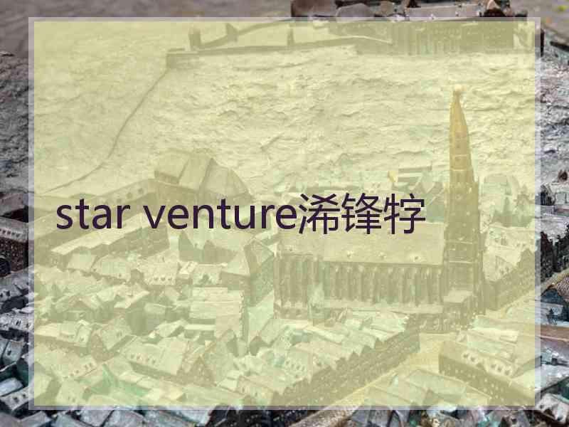 star venture浠锋牸