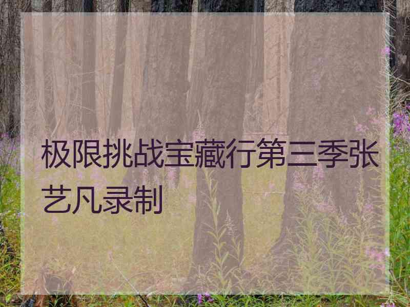 极限挑战宝藏行第三季张艺凡录制