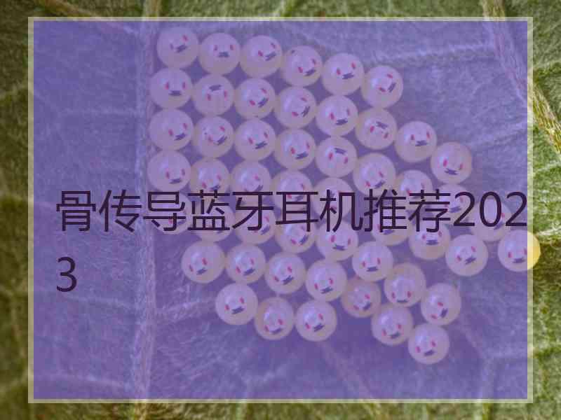 骨传导蓝牙耳机推荐2023