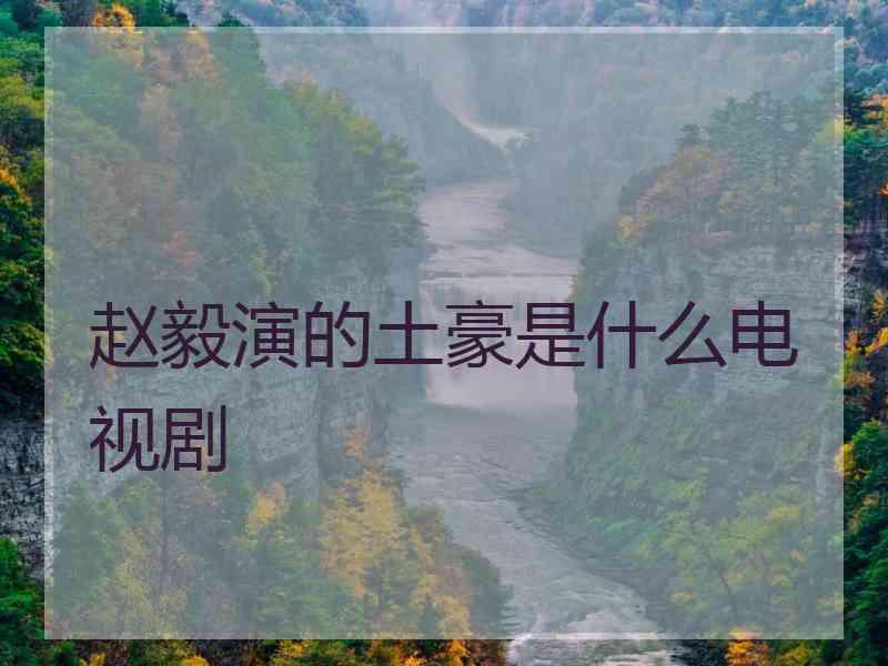 赵毅演的土豪是什么电视剧