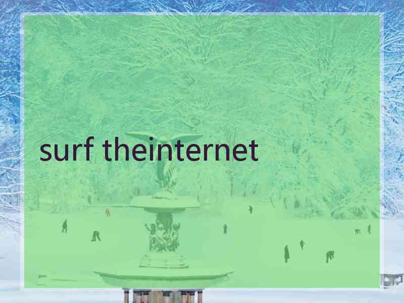 surf theinternet