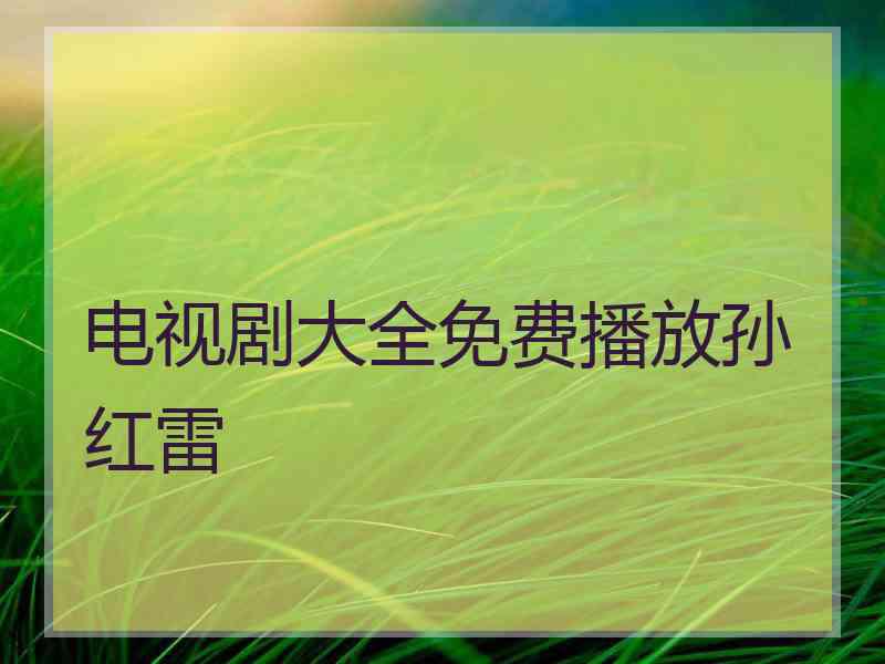 电视剧大全免费播放孙红雷