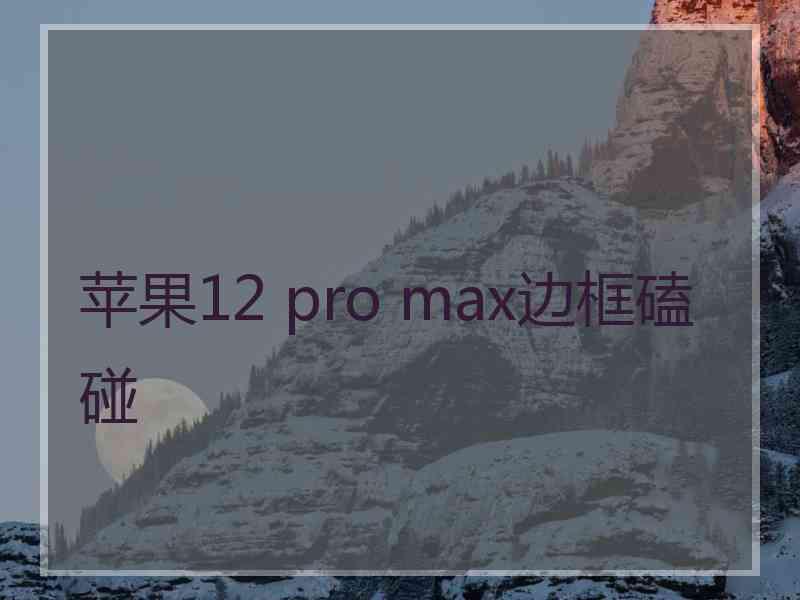 苹果12 pro max边框磕碰