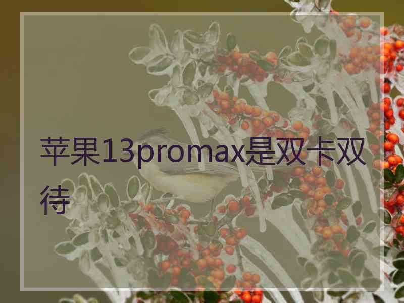 苹果13promax是双卡双待