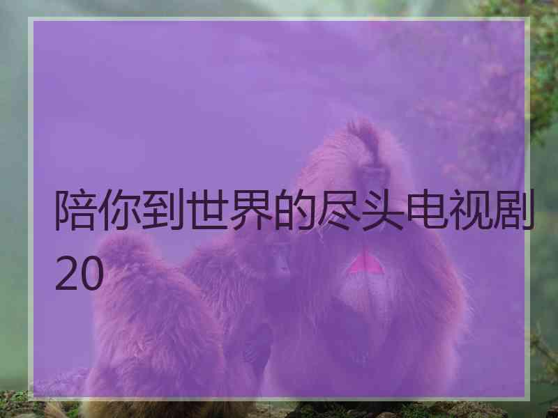 陪你到世界的尽头电视剧20