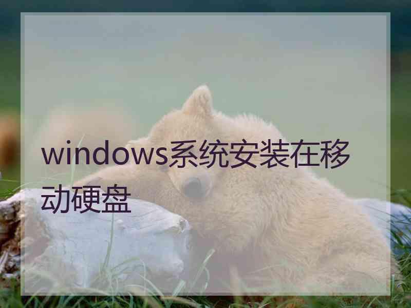 windows系统安装在移动硬盘