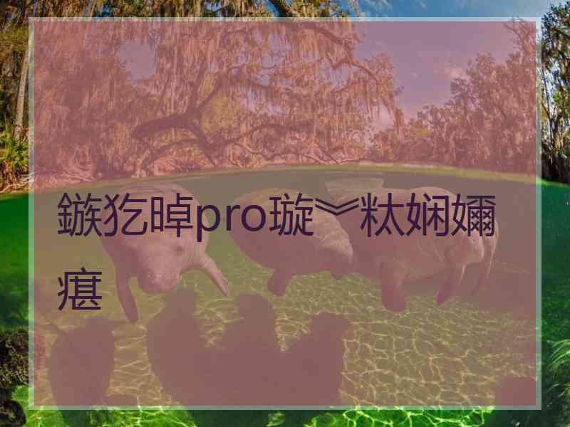 鏃犵晫pro璇︾粏娴嬭瘎