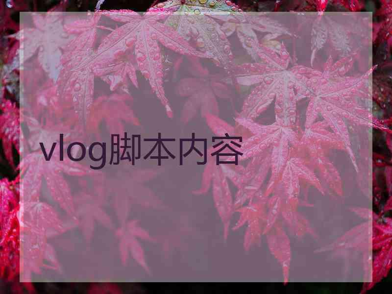 vlog脚本内容