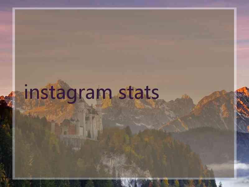 instagram stats