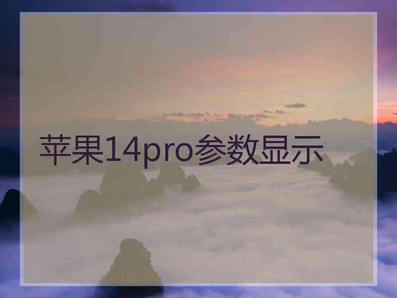 苹果14pro参数显示