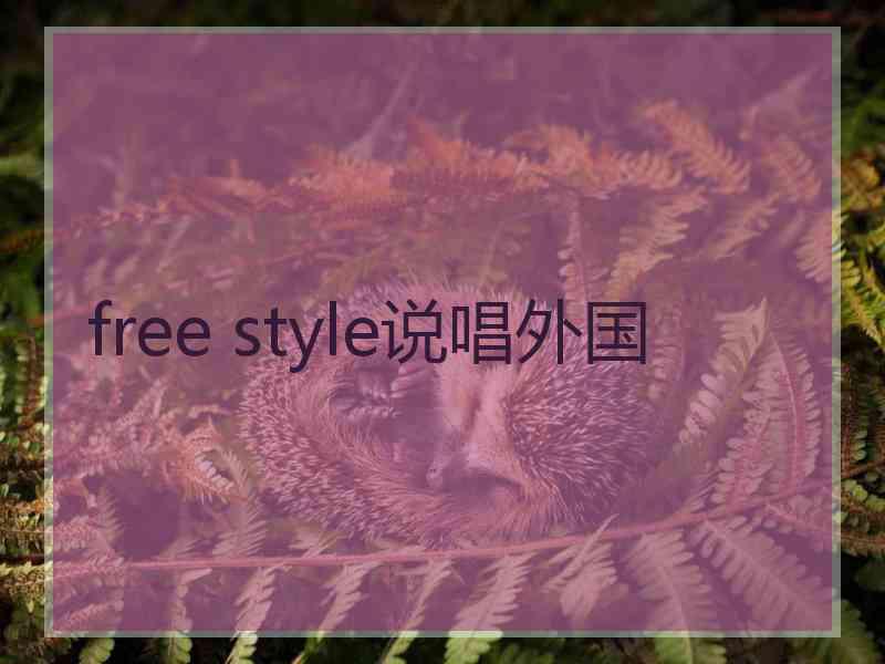 free style说唱外国