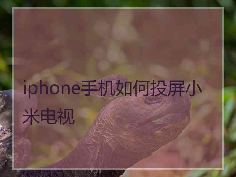 iphone手机如何投屏小米电视