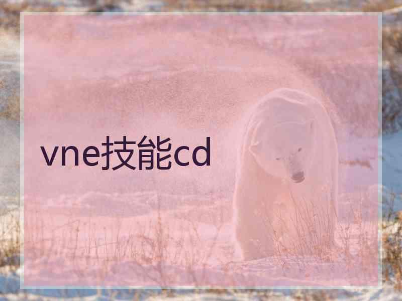 vne技能cd