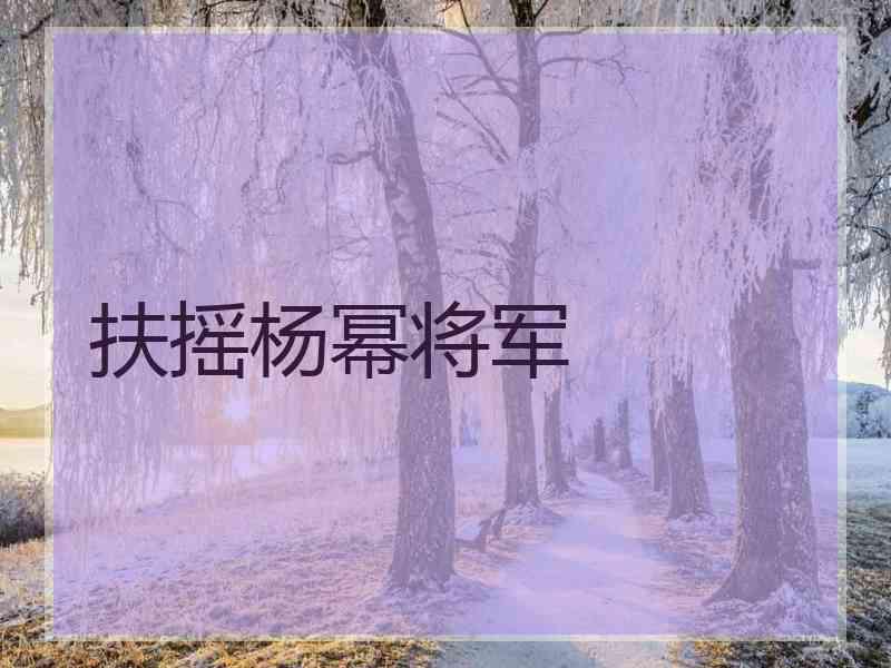 扶摇杨幂将军