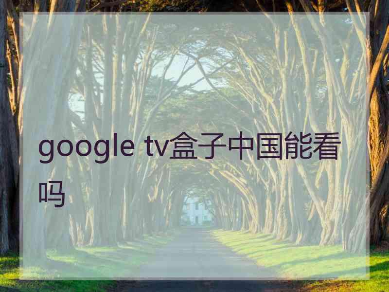 google tv盒子中国能看吗