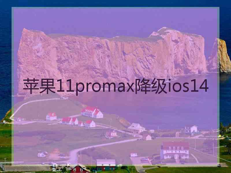 苹果11promax降级ios14