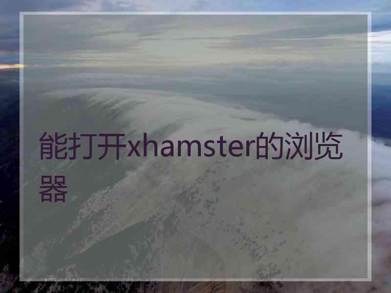 能打开xhamster的浏览器