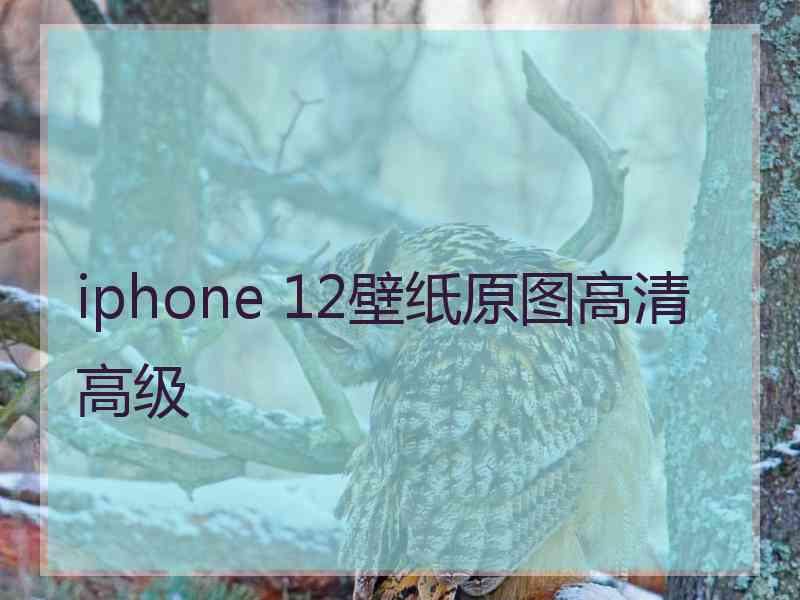 iphone 12壁纸原图高清高级