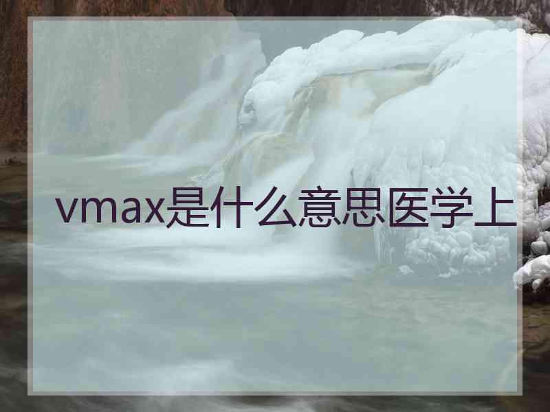 vmax是什么意思医学上