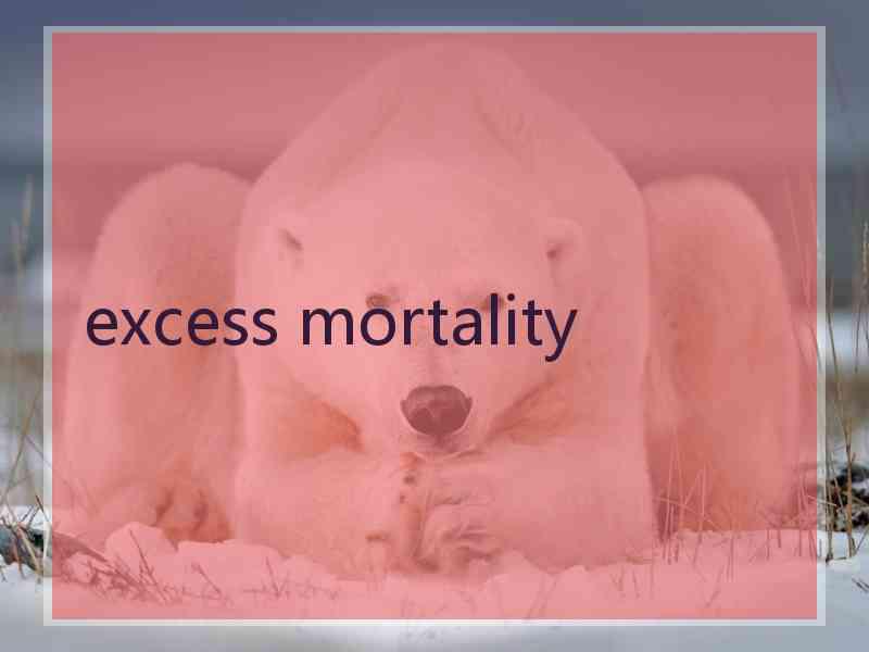 excess mortality