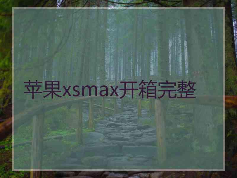 苹果xsmax开箱完整