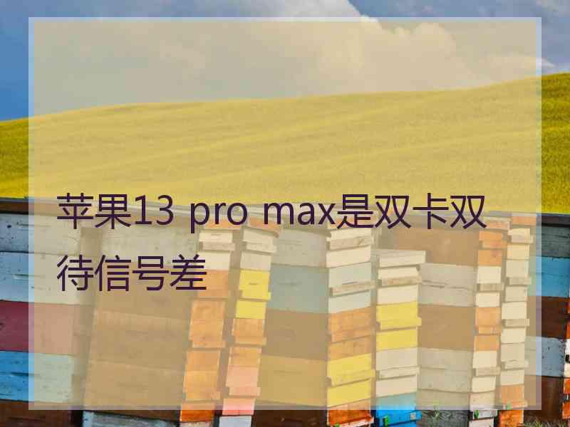 苹果13 pro max是双卡双待信号差