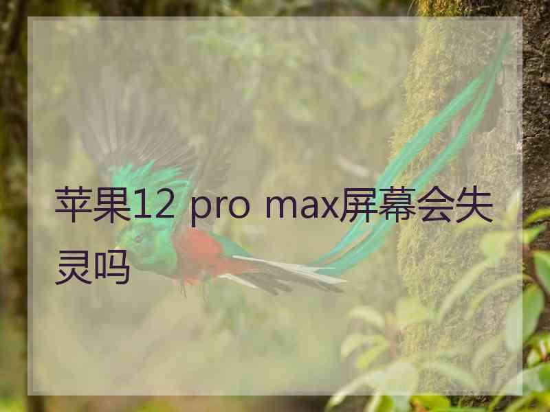 苹果12 pro max屏幕会失灵吗