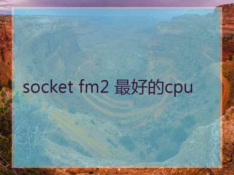 socket fm2 最好的cpu