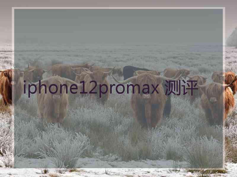 iphone12promax 测评