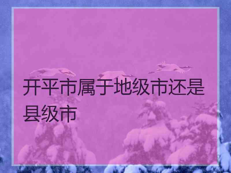 开平市属于地级市还是县级市