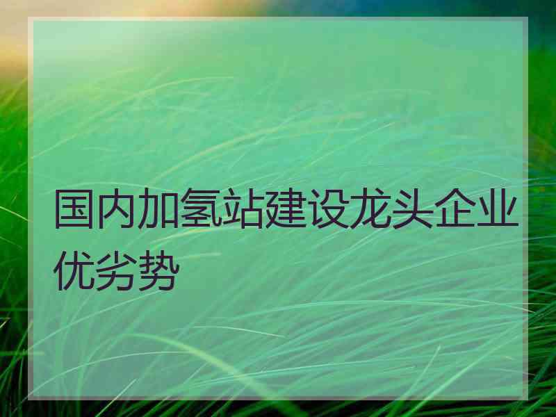 国内加氢站建设龙头企业优劣势