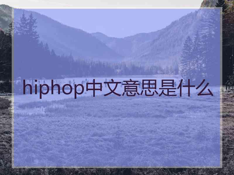 hiphop中文意思是什么