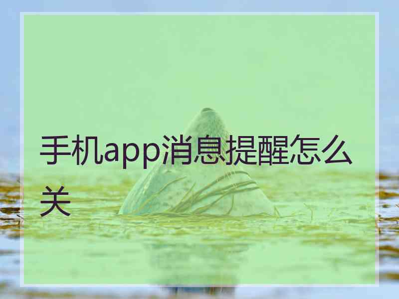 手机app消息提醒怎么关