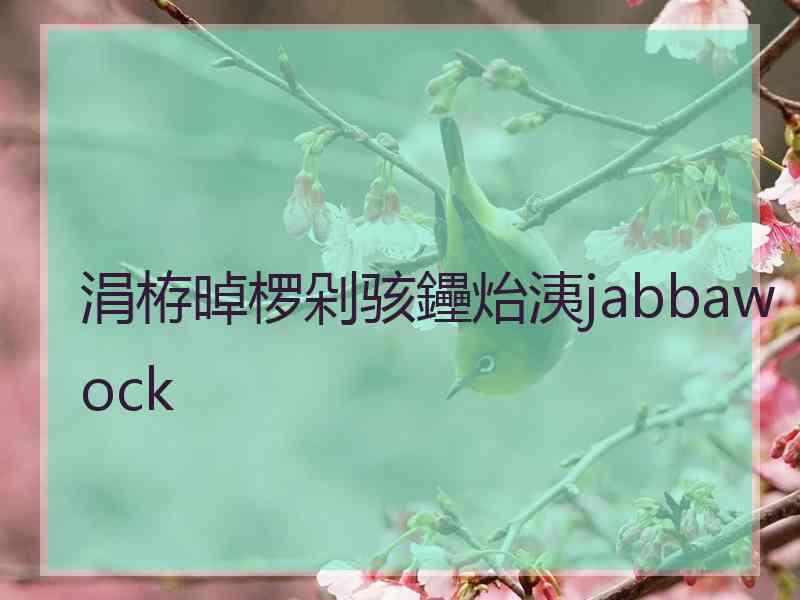 涓栫晫椤剁骇鑸炲洟jabbawock