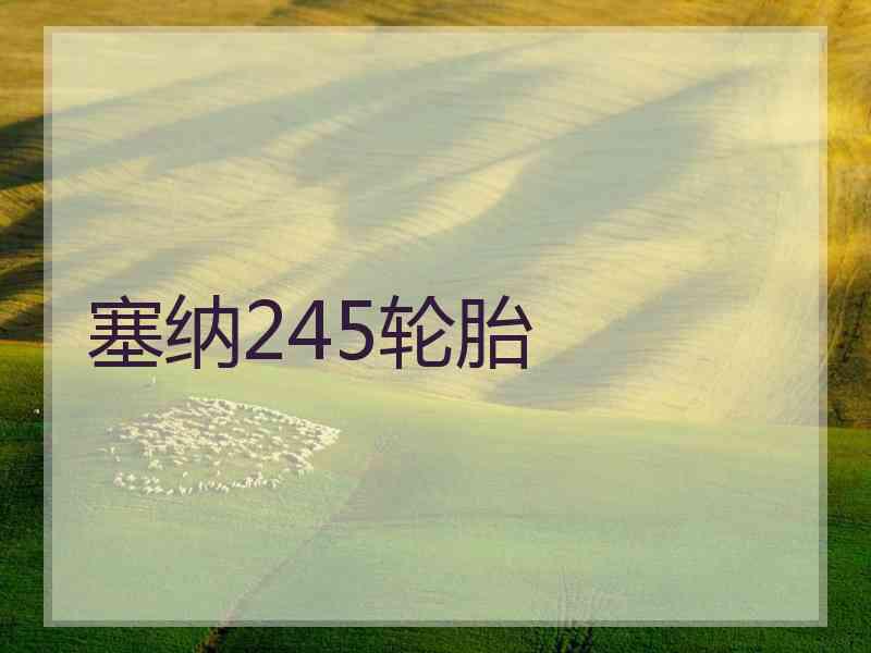 塞纳245轮胎