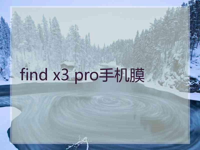 find x3 pro手机膜