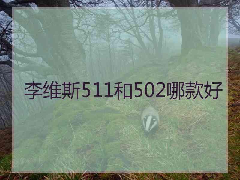 李维斯511和502哪款好