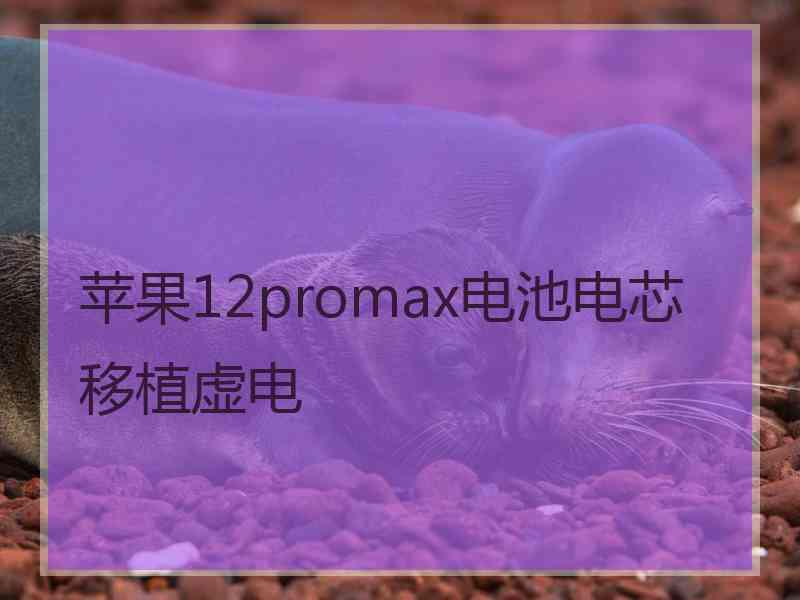 苹果12promax电池电芯移植虚电