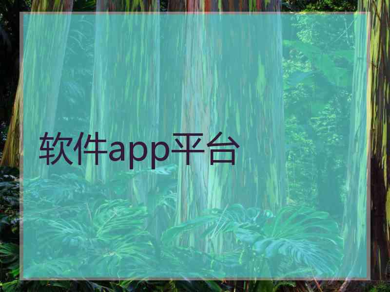 软件app平台