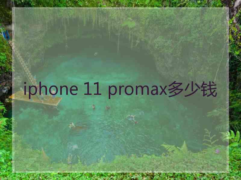 iphone 11 promax多少钱