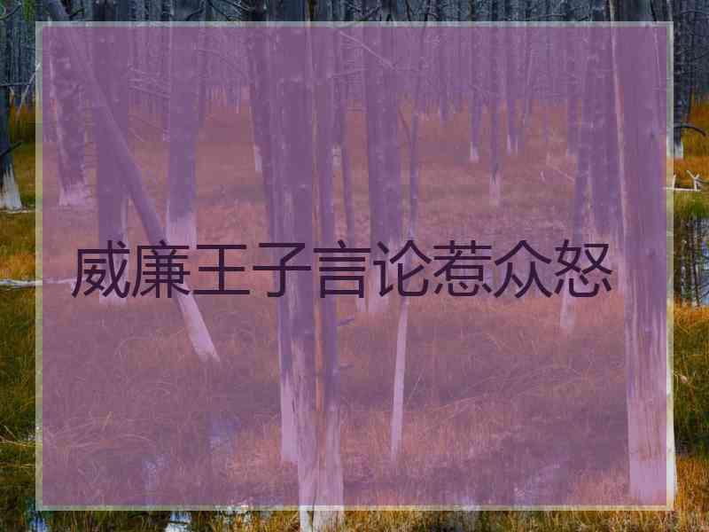 威廉王子言论惹众怒