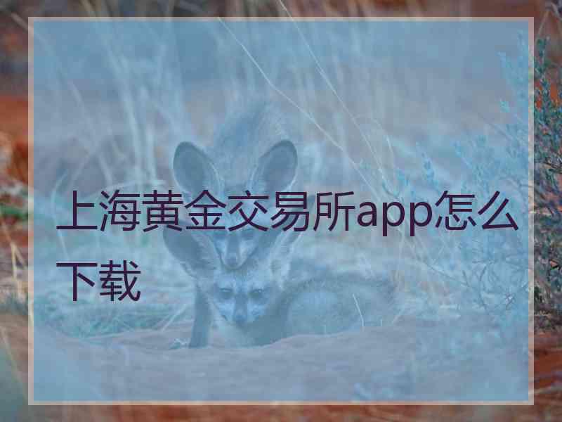 上海黄金交易所app怎么下载