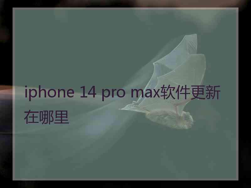 iphone 14 pro max软件更新在哪里