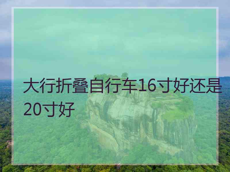 大行折叠自行车16寸好还是20寸好