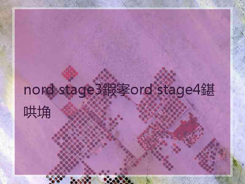 nord stage3鍜宯ord stage4鍖哄埆