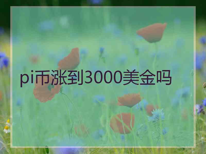 pi币涨到3000美金吗