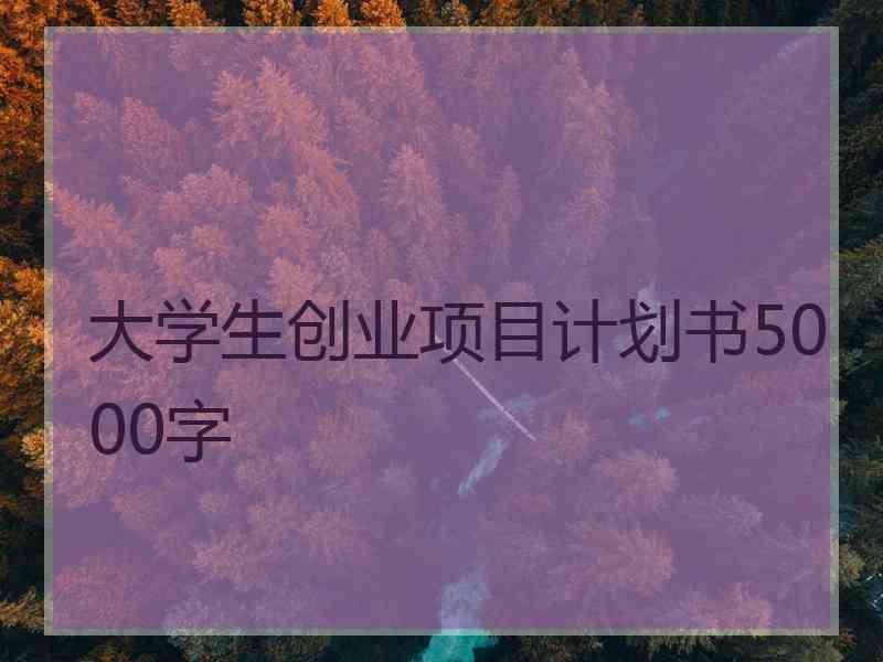 大学生创业项目计划书5000字