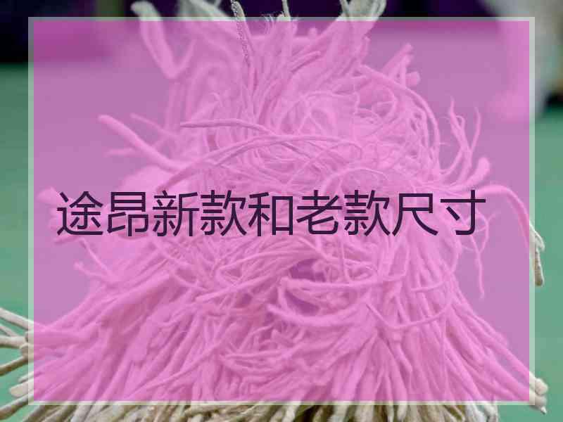 途昂新款和老款尺寸